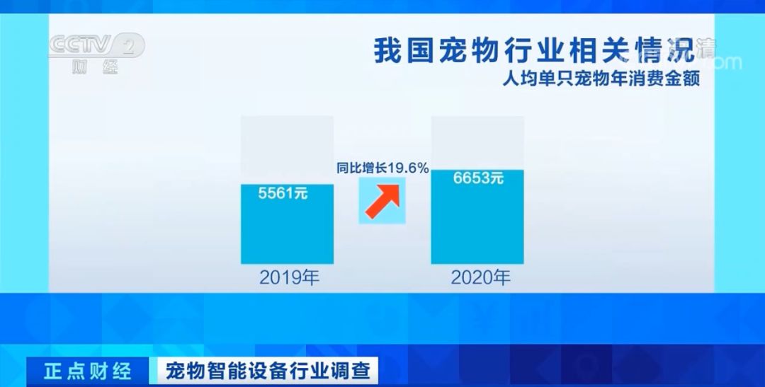 钱塘征信杭州落地，个人征信市场或迎三足鼎立新格局