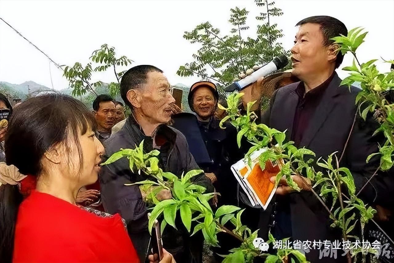 巴东招聘人才网最新招聘