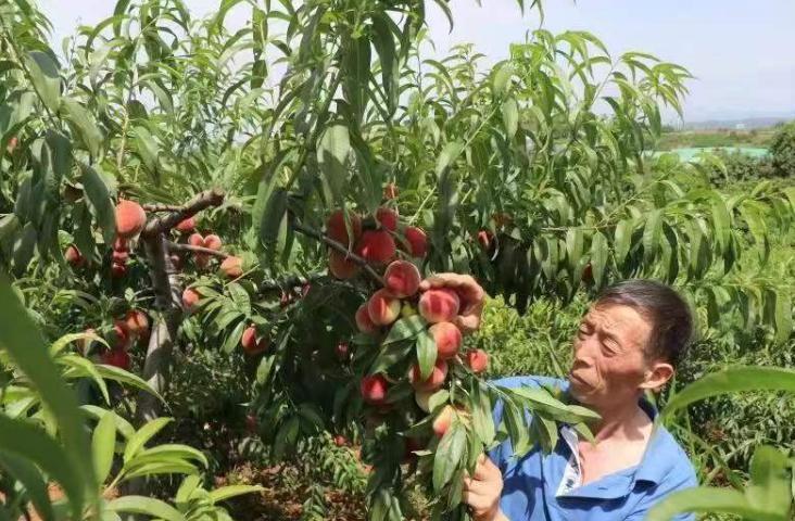 巴山人才招聘网