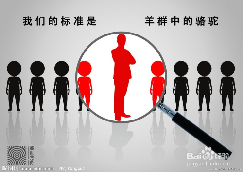 德保招聘人才网