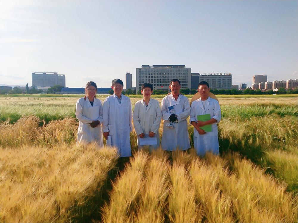 巴彦淖尔市人才招聘网