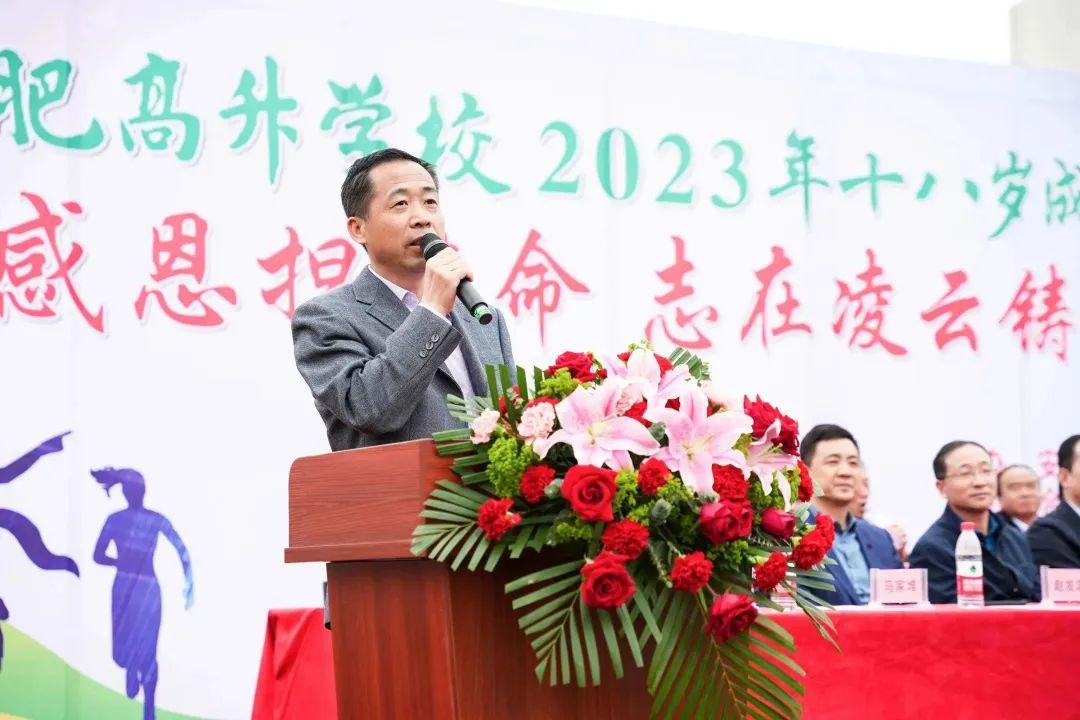 登录肥东人才网站