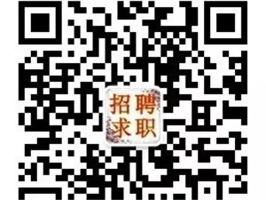 登录宁乡人才网网站