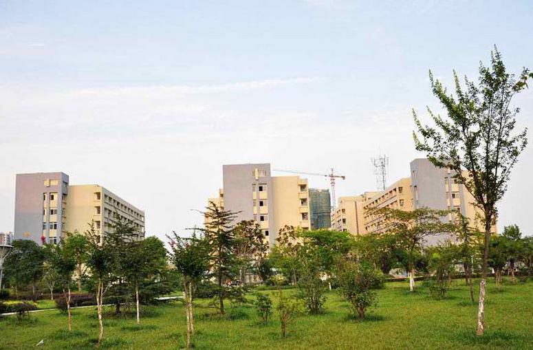 安徽医科大学自学考试网