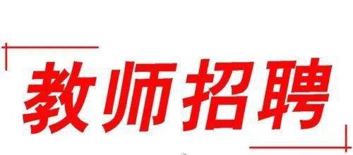 电白区人才招聘信息