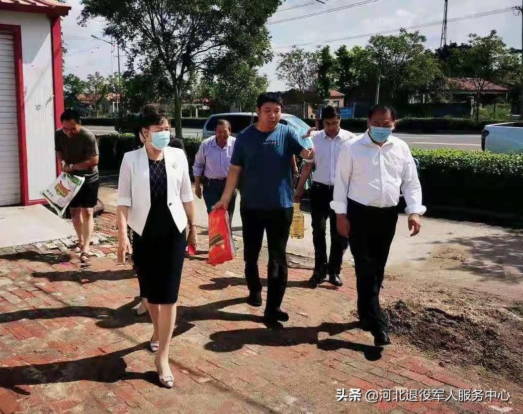 沧州招聘人才网