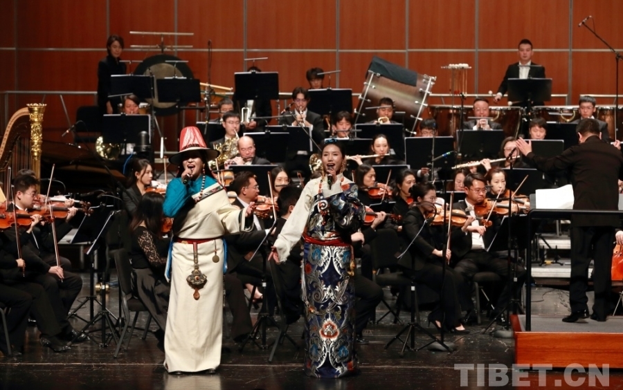 藏家音乐网